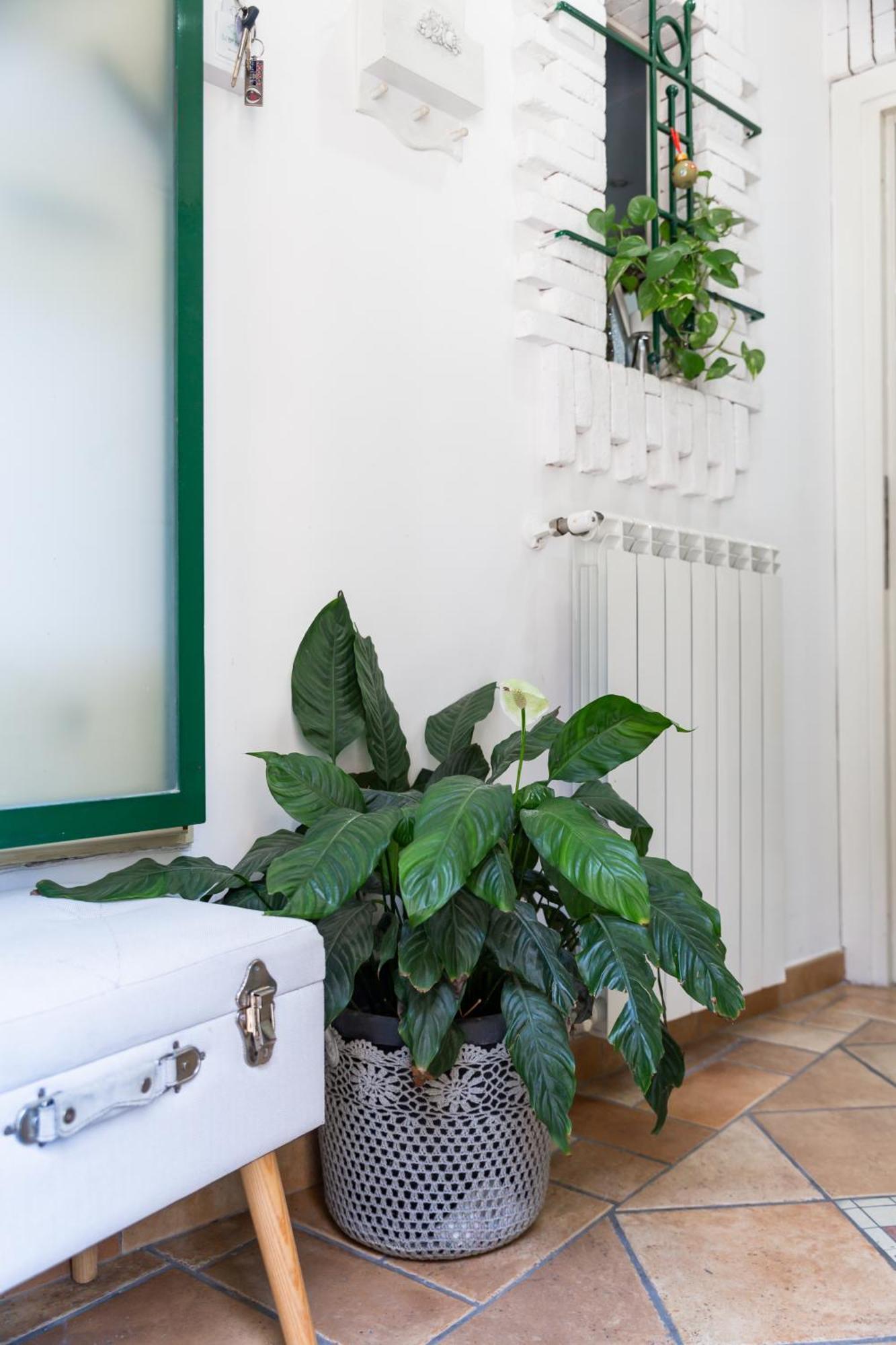 Flavia'S Home Neapol Zewnętrze zdjęcie